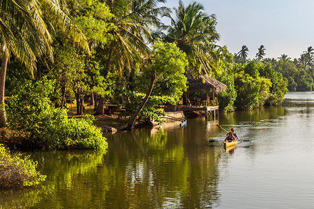 Kayak au Sri Lanka
