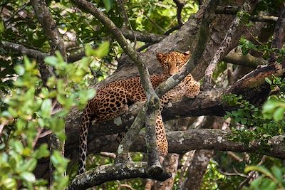 Sri Lanka, l'aventure en famille 3