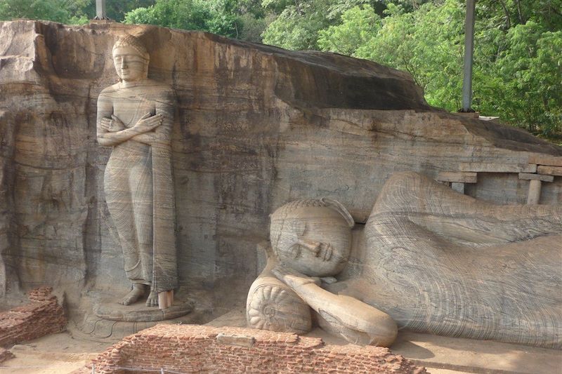 Randonnée et bien-être au Sri Lanka