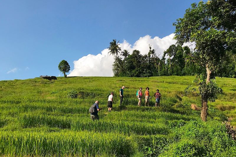 Knuckles Range - District de Kandy - Sri Lanka