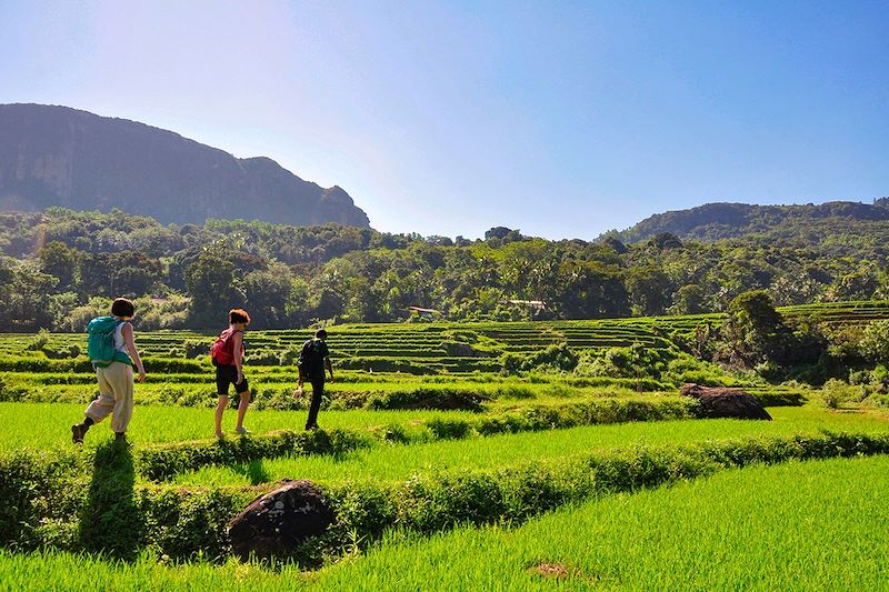 Knuckles Range - District de Kandy - Sri Lanka