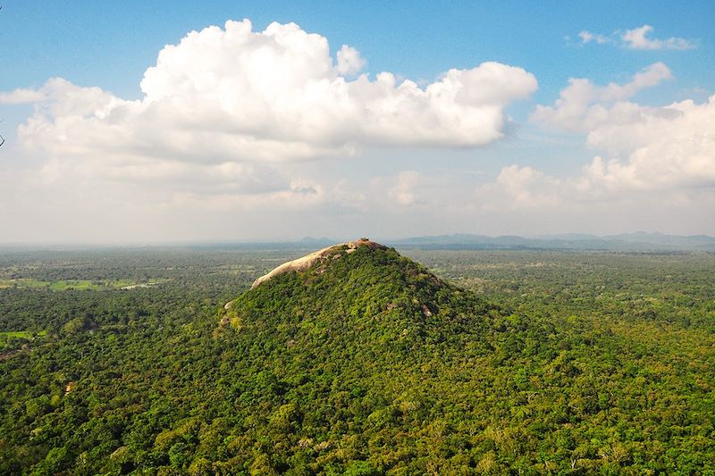 Vue depuis Sigirîya - District de Matale - Sri Lanka
