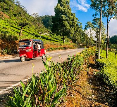 Voyages sur mesure Sri Lanka
