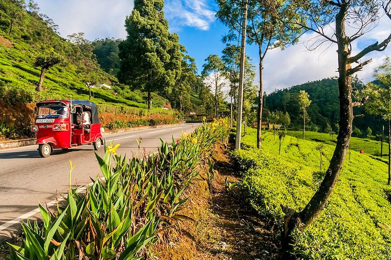 voyage Sri Lanka