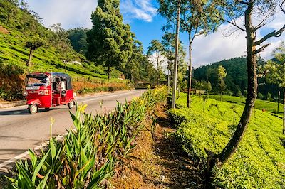 voyage Sri Lanka