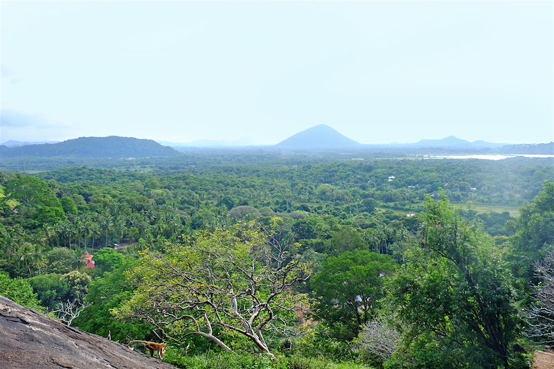 Grottes de Dambulla - Province du Centre - Sri Lanka