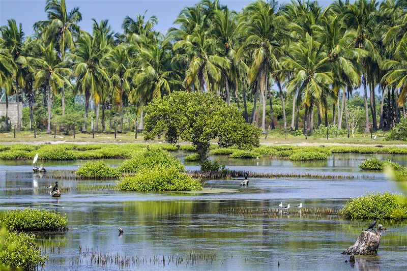 Lagon de Puttalam - Sri Lanka