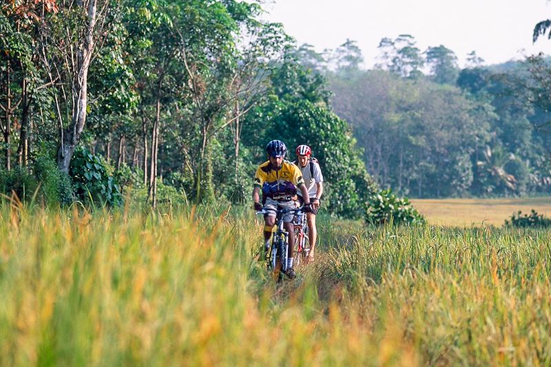 Balade à vélo à travers les rizières - Sri Lanka 