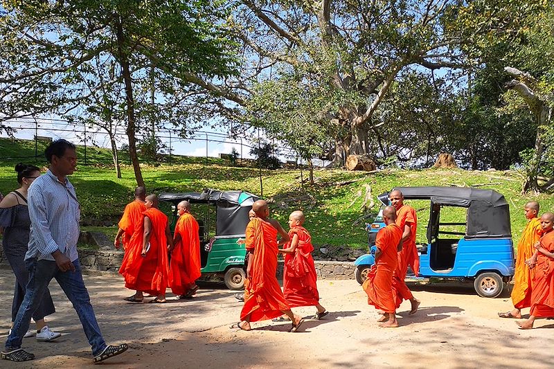 Bonzes à Kandy - Sri Lanka