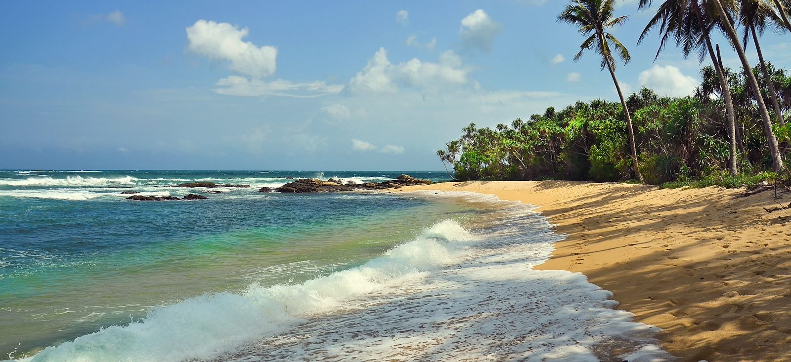 Image Le Sri Lanka en écolodge