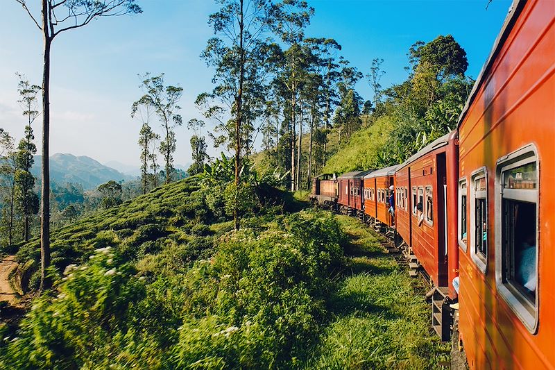 En train à travers des plantations - Sri Lanka 