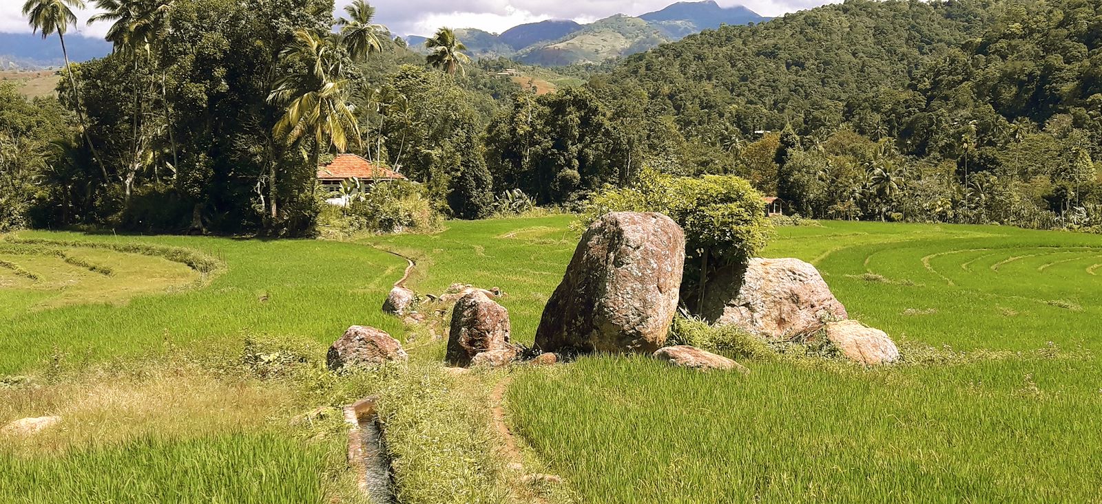 Image Le Sri Lanka en écolodge