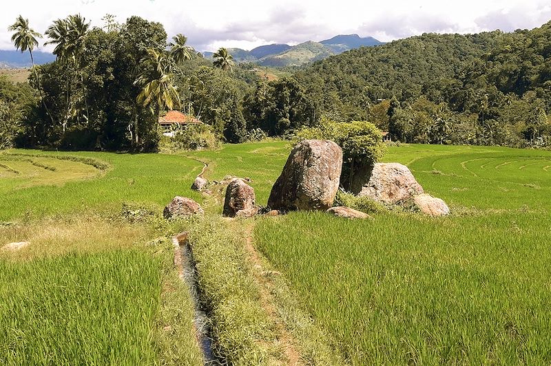 Mont Knuckles - Sri Lanka