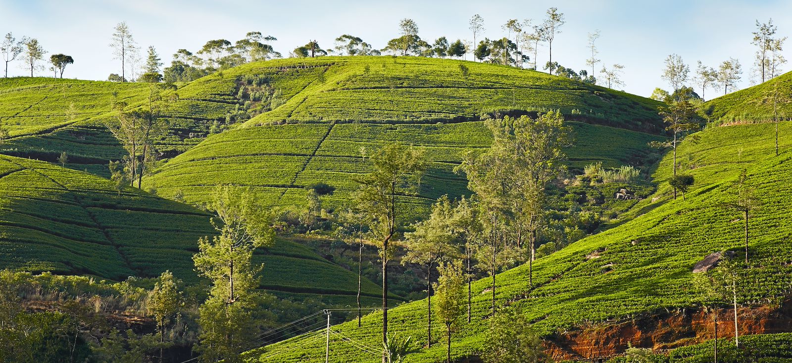 Image Le Sri Lanka en écolodge
