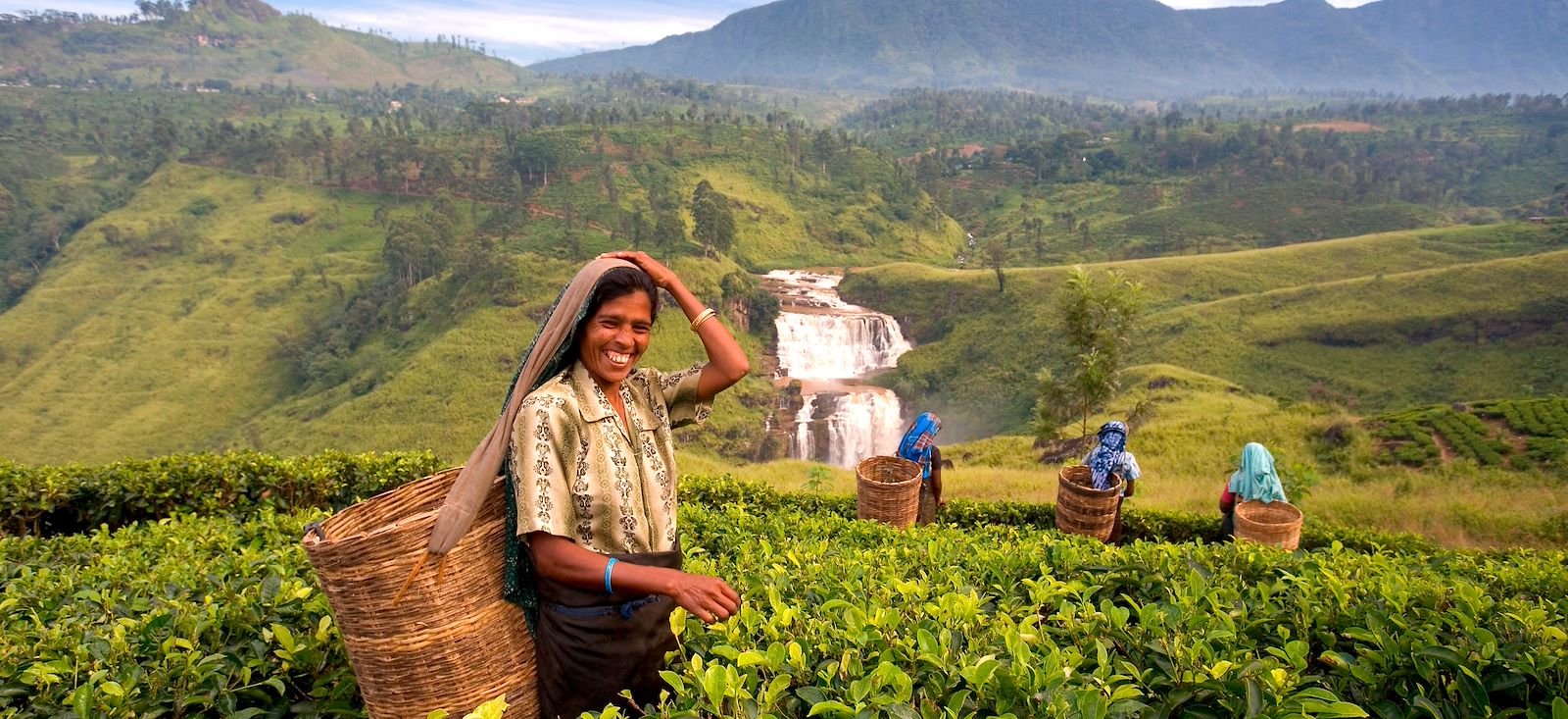 Image Le Sri Lanka en écolodge