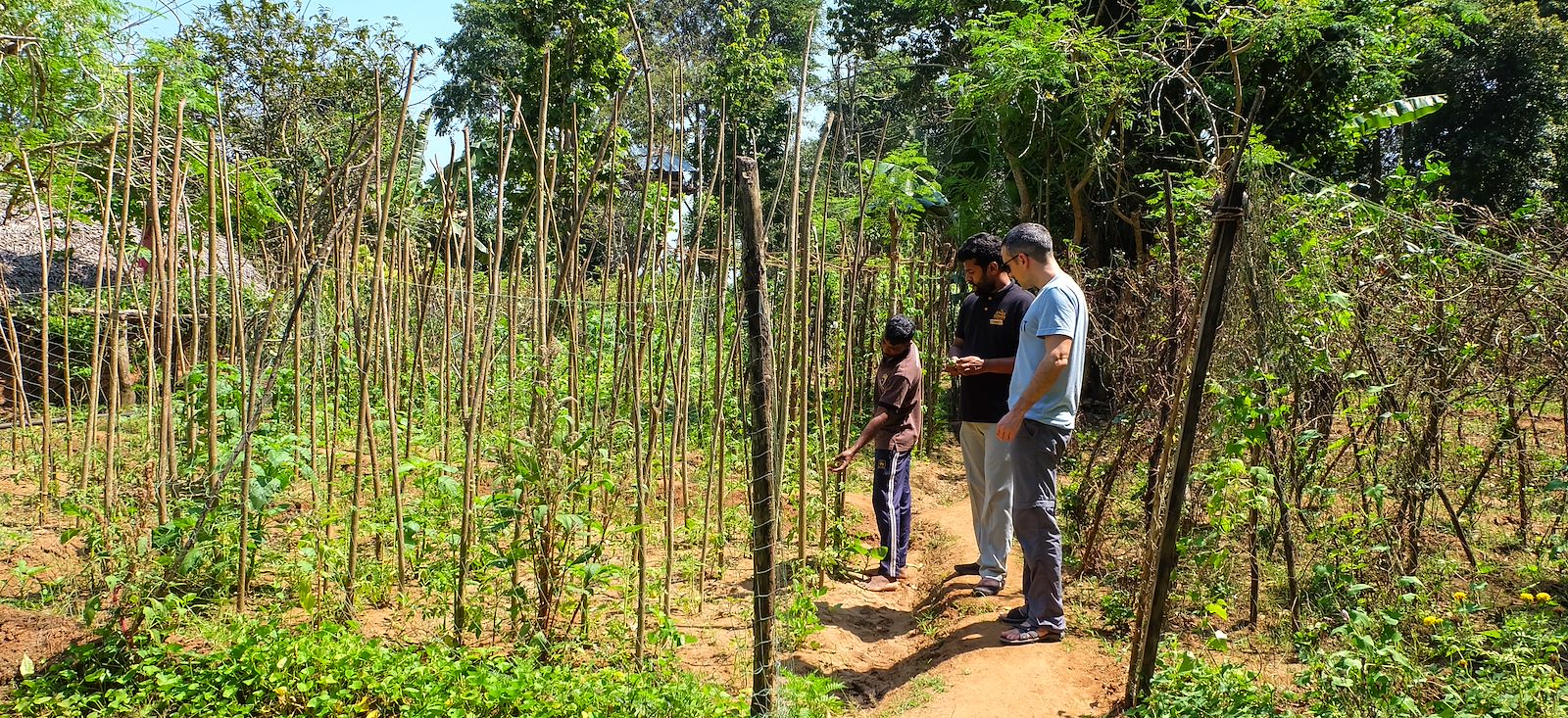 Image Le Sri Lanka en écolodge