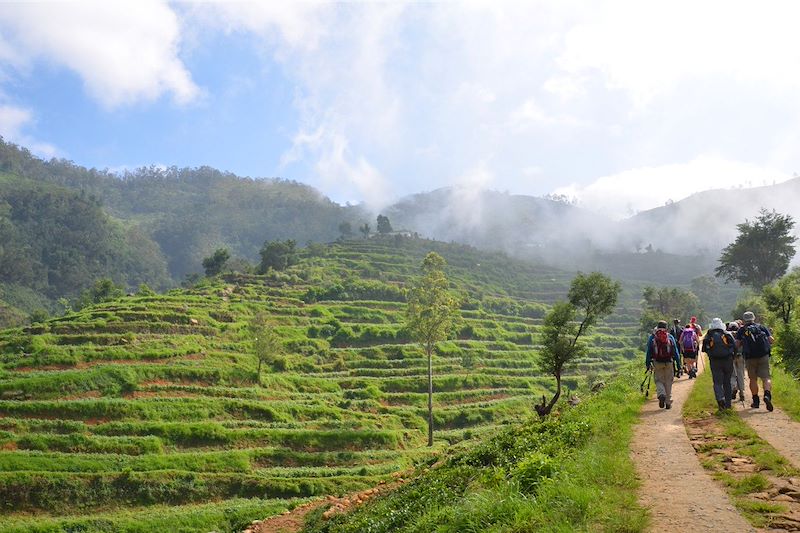 voyage Sri Lanka