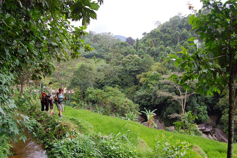 Randonnée dans les Knuckles Range - Sri Lanka