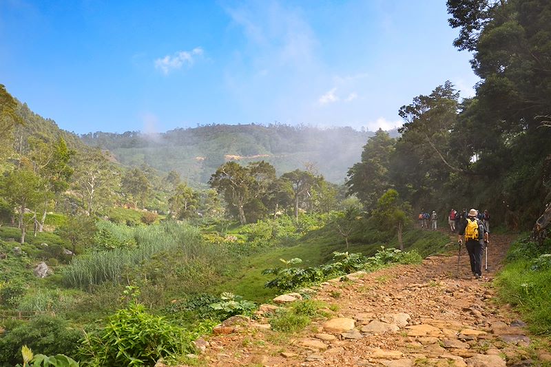 Randonnée dans les Knuckles Range - Sri Lanka