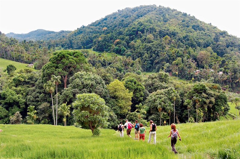 Knuckles Range - Sri Lanka