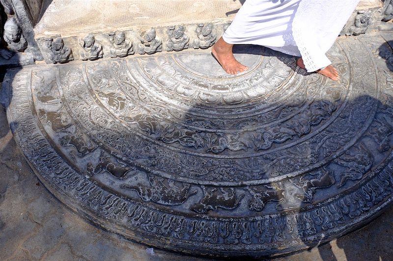 Le grand tour du Sri Lanka