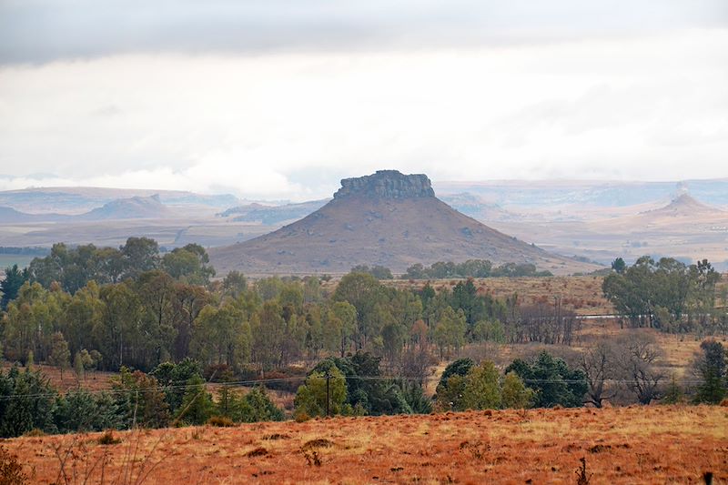 Parc national des Golden Gate Highlands - Province de l'État-Libre - Afrique du Sud