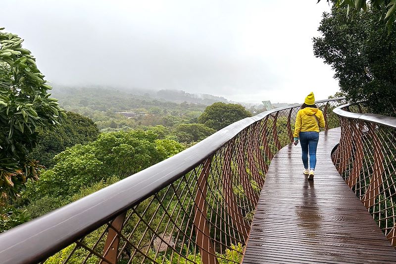 Jardin botanique national Kirstenbosch - Le Cap - Afrique du Sud