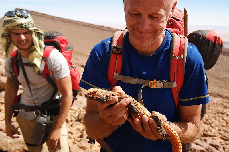 Survie au cœur du Sahara