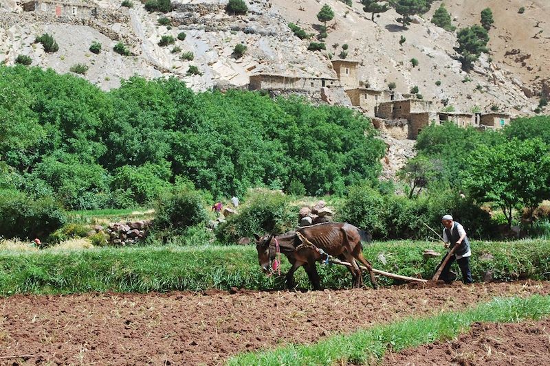 Trek des 3 sommets de l'Atlas marocain