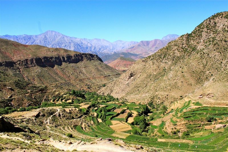 Trek des 3 sommets de l'Atlas marocain