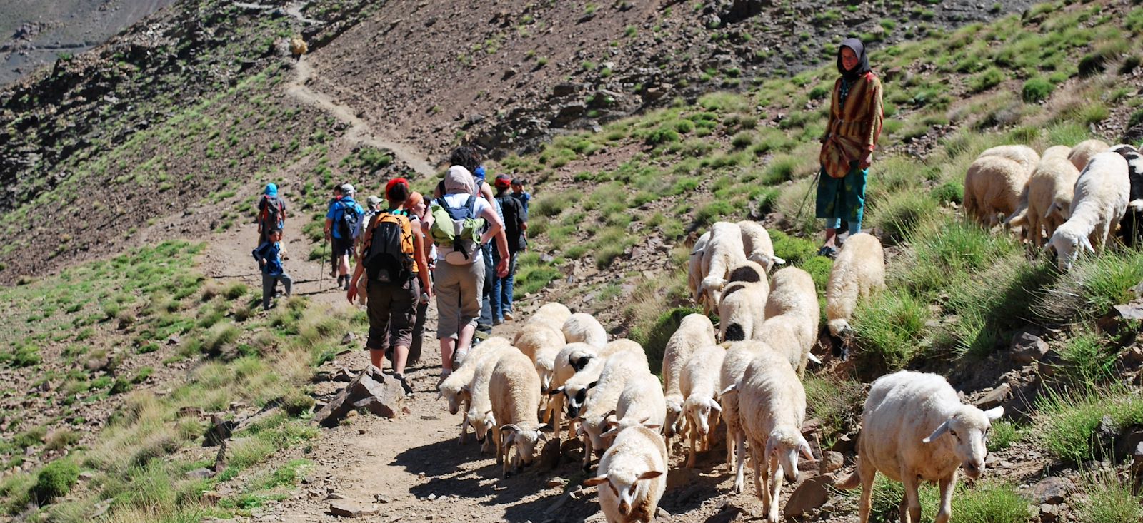 Image Trek des 3 sommets de l'Atlas marocain