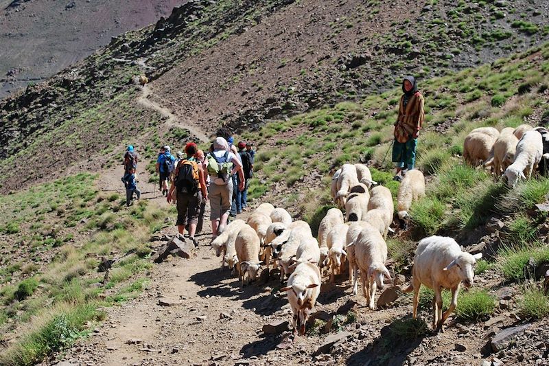 Randonnée dans la vallée de la Tessaout - Maroc