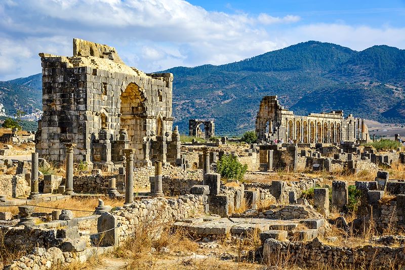 Site archéologique de Volubilis - Préfecture de Meknès - Maroc