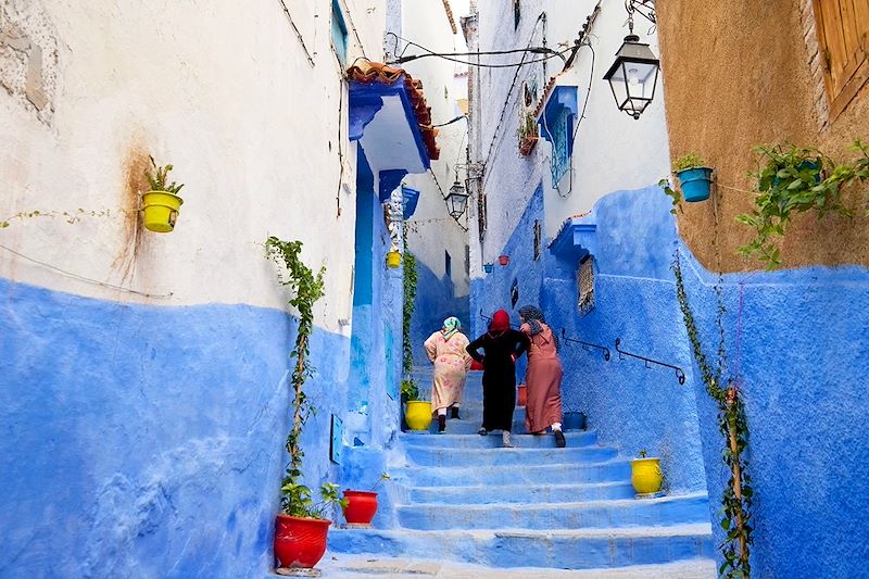 Voyage au nord du Maroc, de Tanger à la perle bleue de Chefchaouen, des randonnées du Moyen Atlas aux cités impériales. 