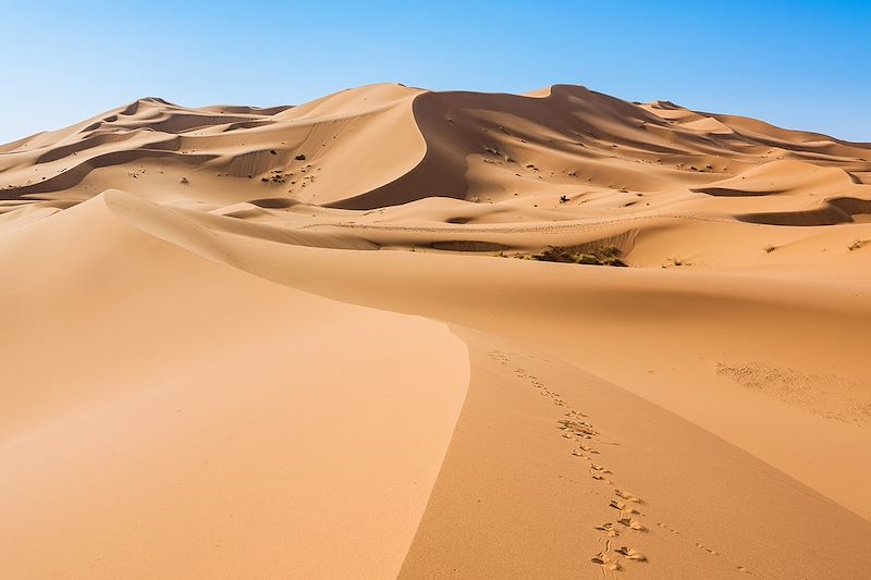 Beau Voyage à l’assaut des dunes