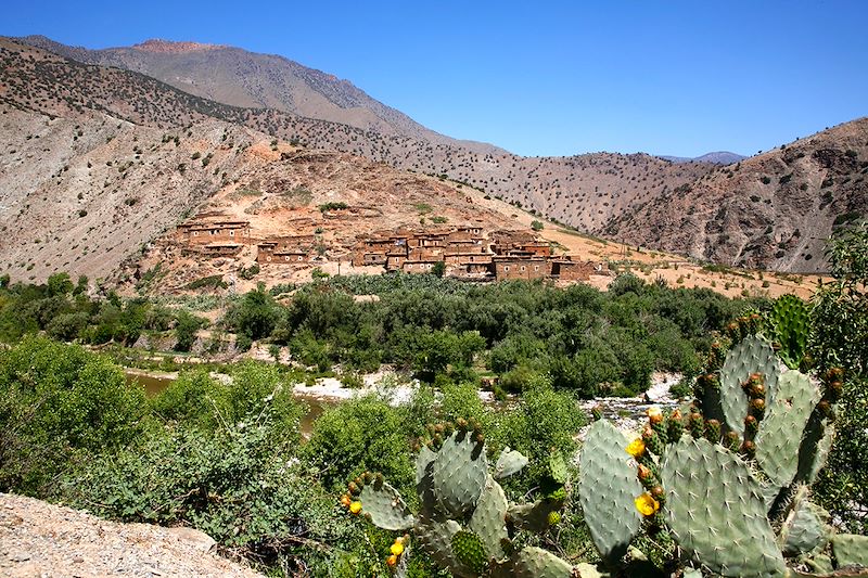 Vallée de l'oued Nfiss en amont de Ouirgane - Maroc