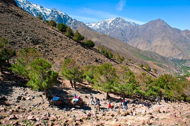 Randonneurs en direction de Tizi n' Tamatert - Parc national de Toubkal - Maroc