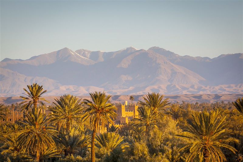 Palmeraie de Skoura - Maroc