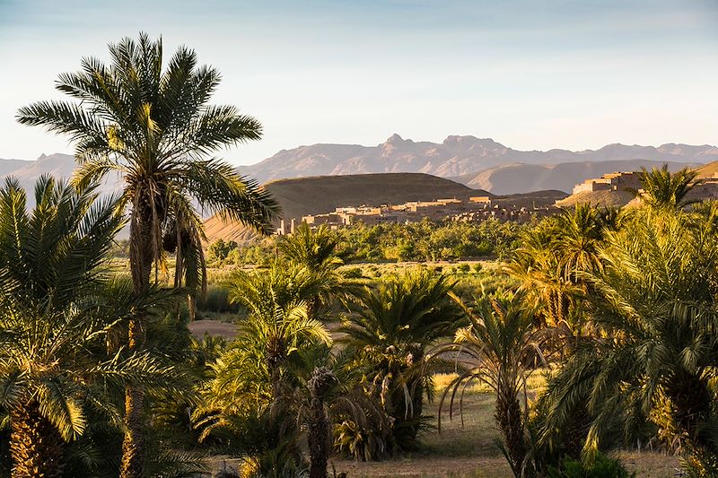 Palmeraie près de Agdz - Maroc