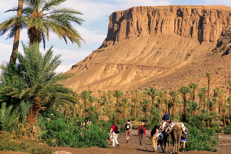 Randonnée dans la Vallée du Drâa avec un guide privé, nuits en bivouac dans le désert et en auberge dans les oasis