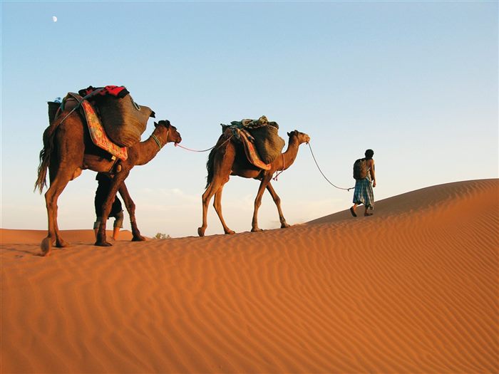 Traversée du désert - Maroc