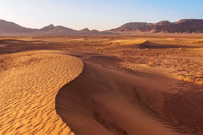 Désert de Zagora au lever du soleil - Région de Draa-Tafilalet - Maroc