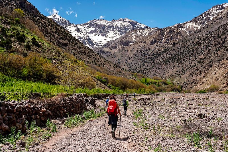 Randonneurs près d'Aroumd - Parc national du Toubkal - Maroc