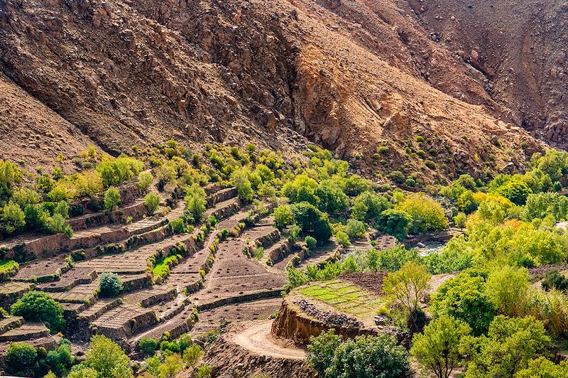 Terrasses vers Tizgui - Haut Atlas - Maroc