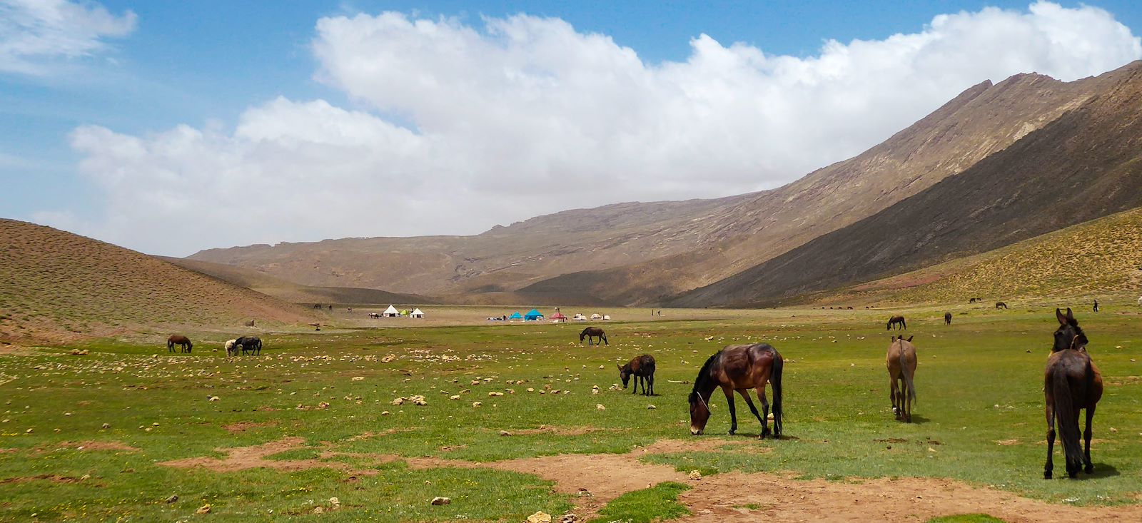 Image Du M'Goun au Toubkal : traversée de l'Atlas
