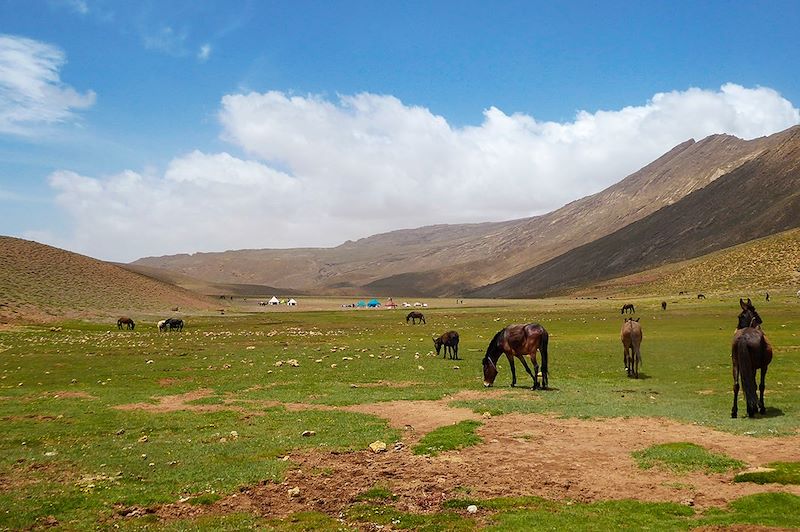 Tarkedit - Haut Atlas - Maroc