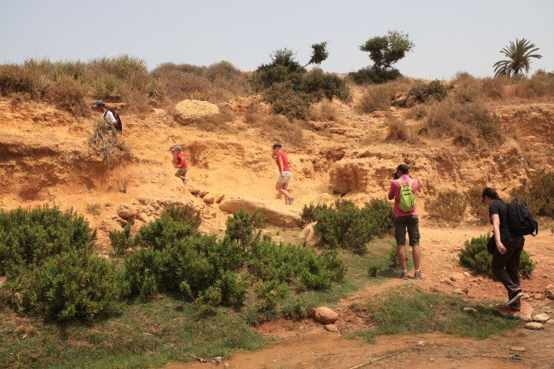 Des chameaux sur l’océan 