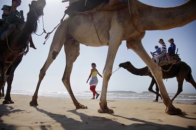 voyage Des chameaux sur l’océan 