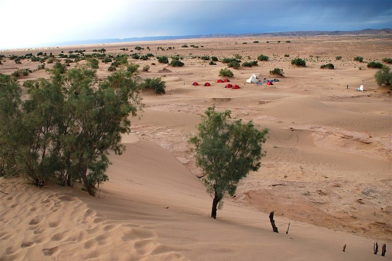 Sahara - Maroc