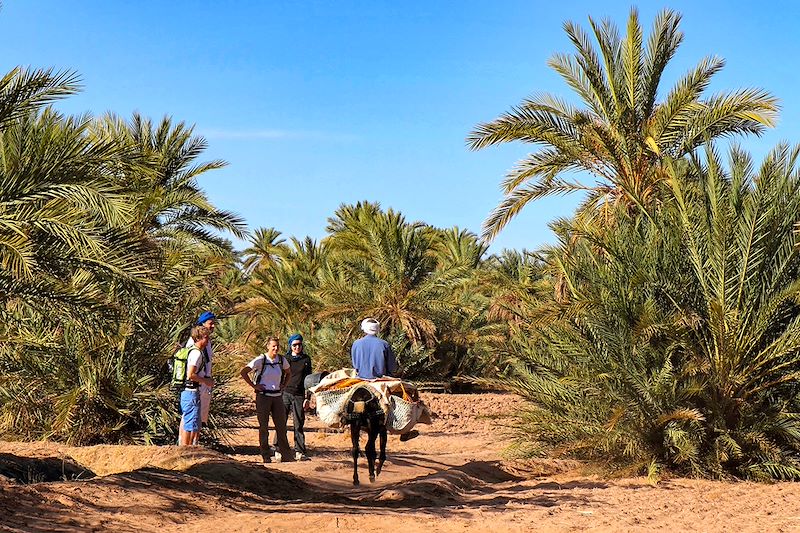 Palmeraie de M'Hamid - Sahara - Maroc